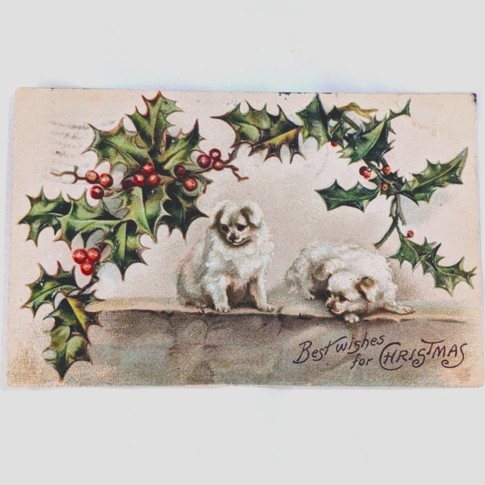 Antique 1909 Christmas Postcard Puppies Holly Embossed Germany